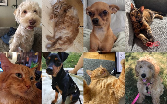 Unsung Heroes 01 Unsung Heroes 01